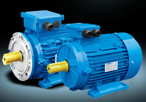 Electric  Motor